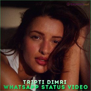 Tripti Dimri Whatsapp Status Video