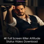 4K Full Screen Killer Attitude Status Video Download
