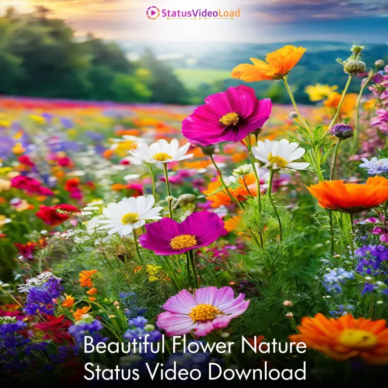 Beautiful Flower Nature Status Video Download