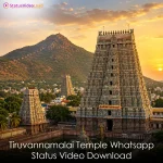 Tiruvannamalai Temple Whatsapp Status Video Download